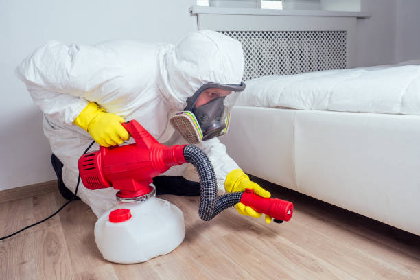 Best Pest Control Near Me in Paincourtville, LA