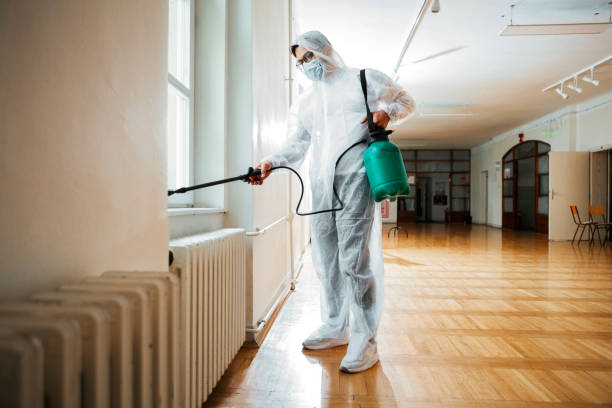 Best Pest Control Near Me  in Paincourtville, LA