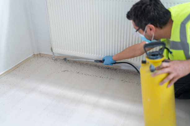 Trusted Paincourtville, LA Pest Control Experts